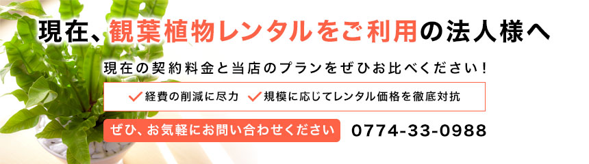 現在、観葉植物レンタルをご利用の法人様へ