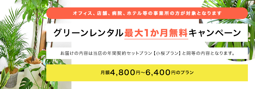 グリーンレンタル1か月無料キャンペーン