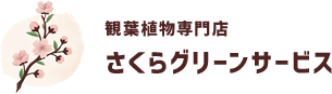 観葉植物専門店　さくらグリーンサービス