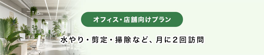 オフィス・店舗向けプラン