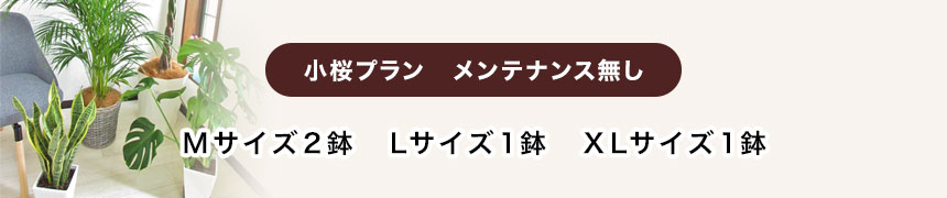 小桜プラン　メンテナンス無し