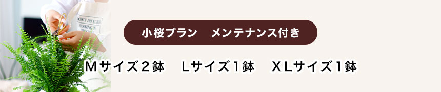 小桜プラン　メンテナンス付き