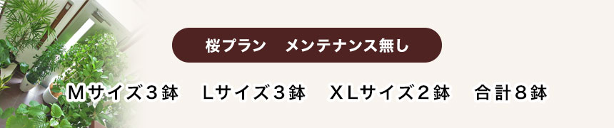 桜プラン　メンテナンス無し