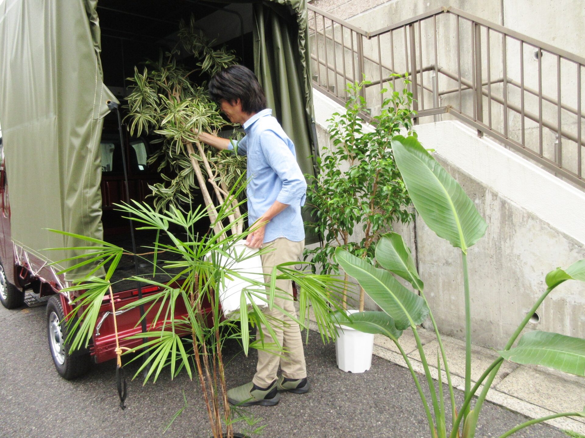 グリーンレンタルの植物の入れ替えにお伺いしました♪